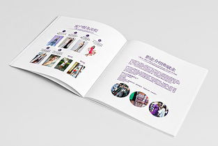 深圳市頂點企業形象策劃 安娜品牌形象色彩與畫冊設計解析